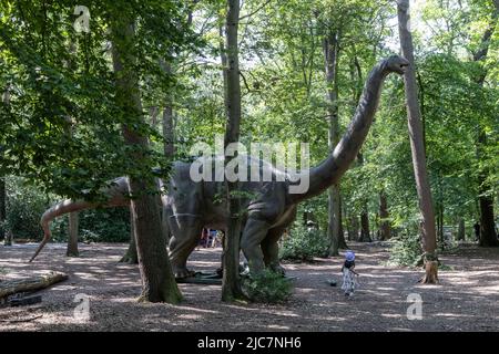 Jurassic Encounter feiert sein Debüt in Großbritannien im Grovelands Park in Southgate, London. Jurassic Encounter ist ein Familienevent, eine interaktive Installation von 50 lebensgroßen animatronischen Dinosauriern aus der Jurazeit, der Trias und der Kreidezeit. Jeder Dinosaurier hat Roboterbewegungen, Arme bewegen sich auf und ab, Schwänze wiegen sich von Seite zu Seite, Köpfe bewegen sich auf und ab, Augen blinken, Kiefer öffnen sich weit mit realistisch brüllenden Soundeffekten. Mit: Atmosphäre wo: London, Großbritannien Wann: 23 Jul 2021 Kredit: Phil Lewis/WENN Stockfoto