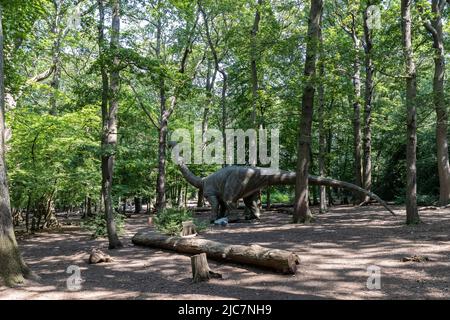 Jurassic Encounter feiert sein Debüt in Großbritannien im Grovelands Park in Southgate, London. Jurassic Encounter ist ein Familienevent, eine interaktive Installation von 50 lebensgroßen animatronischen Dinosauriern aus der Jurazeit, der Trias und der Kreidezeit. Jeder Dinosaurier hat Roboterbewegungen, Arme bewegen sich auf und ab, Schwänze wiegen sich von Seite zu Seite, Köpfe bewegen sich auf und ab, Augen blinken, Kiefer öffnen sich weit mit realistisch brüllenden Soundeffekten. Mit: Atmosphäre wo: London, Großbritannien Wann: 23 Jul 2021 Kredit: Phil Lewis/WENN Stockfoto