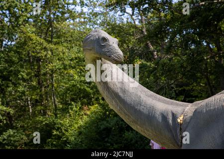 Jurassic Encounter feiert sein Debüt in Großbritannien im Grovelands Park in Southgate, London. Jurassic Encounter ist ein Familienevent, eine interaktive Installation von 50 lebensgroßen animatronischen Dinosauriern aus der Jurazeit, der Trias und der Kreidezeit. Jeder Dinosaurier hat Roboterbewegungen, Arme bewegen sich auf und ab, Schwänze wiegen sich von Seite zu Seite, Köpfe bewegen sich auf und ab, Augen blinken, Kiefer öffnen sich weit mit realistisch brüllenden Soundeffekten. Mit: Atmosphäre wo: London, Großbritannien Wann: 23 Jul 2021 Kredit: Phil Lewis/WENN Stockfoto