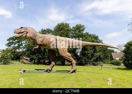 Jurassic Encounter feiert sein Debüt in Großbritannien im Grovelands Park in Southgate, London. Jurassic Encounter ist ein Familienevent, eine interaktive Installation von 50 lebensgroßen animatronischen Dinosauriern aus der Jurazeit, der Trias und der Kreidezeit. Jeder Dinosaurier hat Roboterbewegungen, Arme bewegen sich auf und ab, Schwänze wiegen sich von Seite zu Seite, Köpfe bewegen sich auf und ab, Augen blinken, Kiefer öffnen sich weit mit realistisch brüllenden Soundeffekten. Mit: Atmosphäre wo: London, Großbritannien Wann: 23 Jul 2021 Kredit: Phil Lewis/WENN Stockfoto