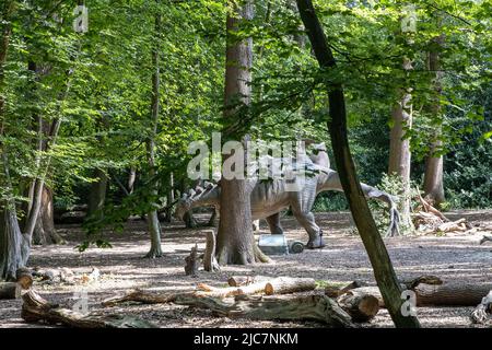 Jurassic Encounter feiert sein Debüt in Großbritannien im Grovelands Park in Southgate, London. Jurassic Encounter ist ein Familienevent, eine interaktive Installation von 50 lebensgroßen animatronischen Dinosauriern aus der Jurazeit, der Trias und der Kreidezeit. Jeder Dinosaurier hat Roboterbewegungen, Arme bewegen sich auf und ab, Schwänze wiegen sich von Seite zu Seite, Köpfe bewegen sich auf und ab, Augen blinken, Kiefer öffnen sich weit mit realistisch brüllenden Soundeffekten. Mit: Atmosphäre wo: London, Großbritannien Wann: 23 Jul 2021 Kredit: Phil Lewis/WENN Stockfoto