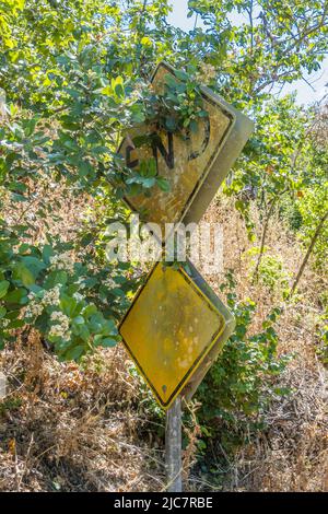 Ein gelbes, verwittertes „End of Road“-Schild, das teilweise mit Foilage bedeckt ist, in Santa Barbara County, Kalifornien. Stockfoto
