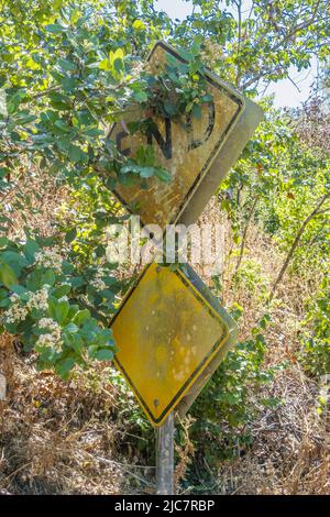 Ein gelbes, verwittertes „End of Road“-Schild, das teilweise mit Foilage bedeckt ist, in Santa Barbara County, Kalifornien. Stockfoto