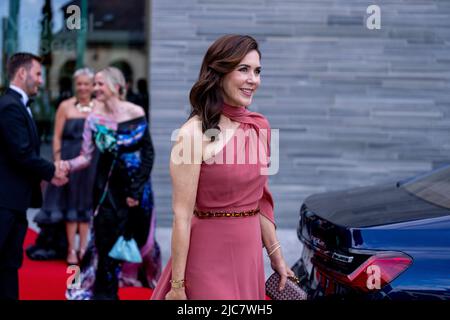 Oslo 20220610.Kronprinzessin Mary von Dänemark nimmt an einem offiziellen Dinner im Zusammenhang mit der Eröffnung des Nationalmuseums Teil. Foto: Javad Parsa / NTB Stockfoto