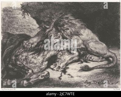 Löwe verschlingt ein Pferd Löwe d, Druckerei: Eugène Delacroix, (auf Objekt erwähnt), nach: Eugène Delacroix, (auf Objekt erwähnt), Drucker: Victor Jacques Bertauts, (auf Objekt erwähnt), Paris, 1844, Papier, H 290 mm × B 432 mm Stockfoto