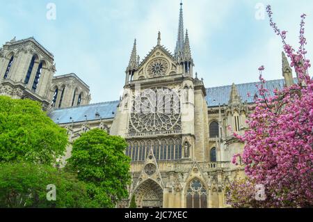Kathedrale Notre-Dame Stockfoto