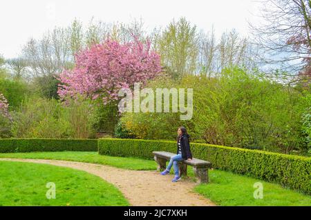 Landschaft der Gärten von Versailles Stockfoto