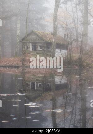 Hütte im Wald neben einem kleinen See im Pfälzer Wald von Deutschland an einem nebligen Herbsttag. Stockfoto