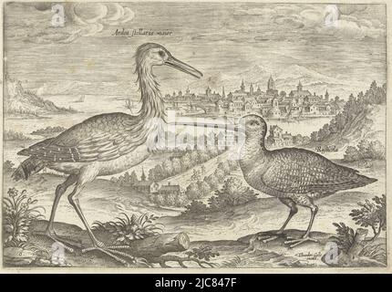 Ein Reiher und eine Schnecke in einer Landschaft. Im Hintergrund ein Blick auf eine Stadt. Der Druck ist einer einer Serie mit Vögeln, zwei Vögel in einer Landschaft Vögel Avivm vivae , Druckerei: Adriaen Collaert, (erwähnt auf Objekt), Adriaen Collaert, Verlag: Theodoor Galle, (erwähnt auf Objekt), Antwerpen, 1598 - 1618, Papier, Gravur, H 130 mm × B 190 mm Stockfoto