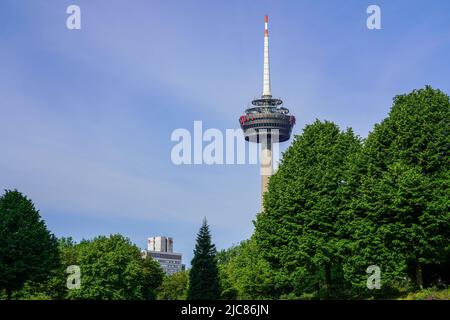 Colonius Köln, Kölner Fernsehturm, Blick vom August Sander Park. Köln, Nordrhein-Westfalen, Deutschland, 22.5.22 Stockfoto