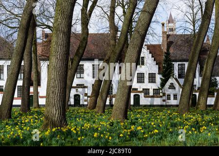 Blick auf den Begijnhof Brügge - das Fürstenhaus des Weinbergs - ein architektonischer Komplex, der 1245 zur Behausung von Beginen geschaffen wurde. Stockfoto