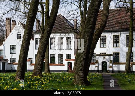 Blick auf den Begijnhof Brügge - das Fürstenhaus des Weinbergs - ein architektonischer Komplex, der 1245 zur Behausung von Beginen geschaffen wurde. Stockfoto