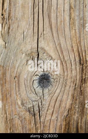 Natürliche Textur von altem Holzbrett mit Ästen und Rissen, geschliffen mit Pech und Wind Stockfoto