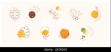 Sammlung von abstrakten Elementen im minimalistischen Stil mit botanischen Elementen. Abstrakte Symbole handgezeichnete Vektorgrafik Stockfoto