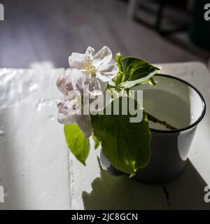 Graue Tasse mit einem blühenden Apfelbaum Zweig auf einem Tisch mit Reflexionen gegenüber blauem Hintergrund. Platz für Text. Stockfoto