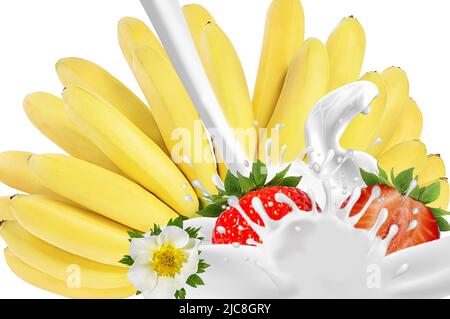 Bananen und Spritzer und Tropfen Joghurt, Milch, Eis aus fallenden reifen Erdbeeren isoliert auf weiß Stockfoto