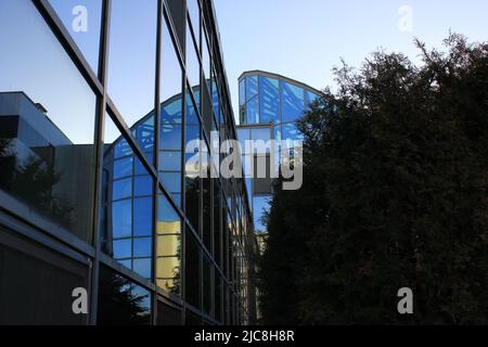 Alternative Realität. Durch das schauende Glas Stockfoto