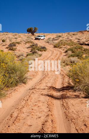 Ein Reiseleiter fährt einen 4WD SUV über einen Trail durch sehr tiefen Sand auf dem Navajo Indianerreservat in Arizona. Stockfoto