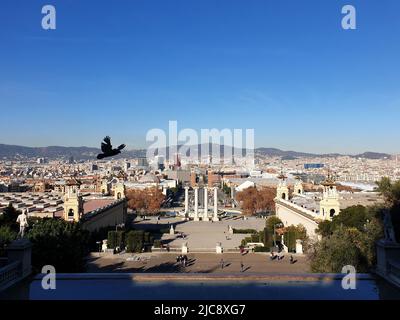 Panoramablick vom Montjuic auf Barcelona, Plaza Espana, sonniger Tag, blauer Himmel, Barcelona, Spanien Stockfoto