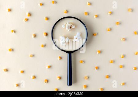 Ein Muster mit Mais und einer Lupe, durch die Popcorn zu sehen ist. Blick durch eine Lupe auf Maiskörner. Lebensmittelkontrolle, Maiskernqualität in Stockfoto