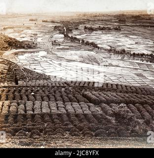 Blick auf Tee- und Reisfelder in Shizuoka im späten 19. Jahrhundert, Japan Stockfoto