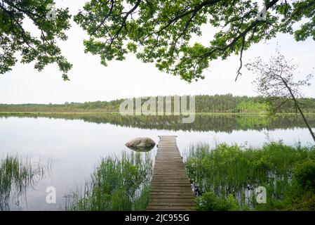 See an einem warmen Sommertag mit einem alten hölzernen Steg in der Mitte des Bildes und Eichenzweigen. Sonniges Wetter im Sommer. Stockfoto