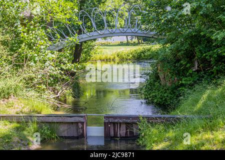 Metallbrücke über einen Bach mit fließendem Wasser zwischen üppig grünen Bäumen und üppiger wilder Vegetation, Wehr mit einem kleinen Holztor, Wasserflusskontrolle Stockfoto