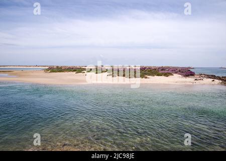 Praia dos Tesos mit seiner geschützten Küste und seinem flachen Wasser ist perfekt für ein "abseits der ausgetretenen Pfade" Stranderlebnis - Tavira, Algarve, Portugal Stockfoto