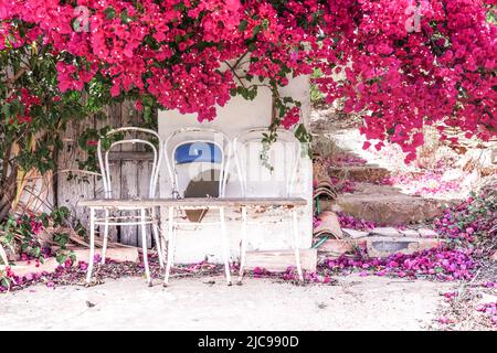 Rustikale Sitzgelegenheiten unter einer auffallenden Bougainvillea in voller Blüte - Algarve, Portugal Stockfoto