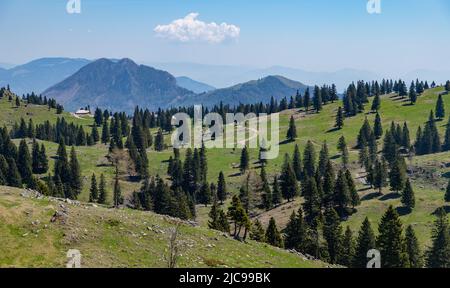 Ein Bild der Landschaft von Velika Planina, oder Big Weide Plateau. Stockfoto