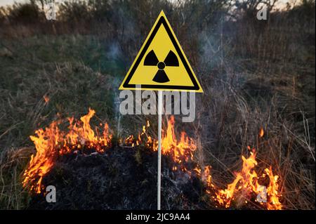 Brennendes trockenes Gras und Strahlungszeichen. Strahlungssymbol Warnung vor gefährlichen radioaktiven Stoffen im Feld mit Feuer. Konzept von Ökologie und Naturkatastrophen. Stockfoto