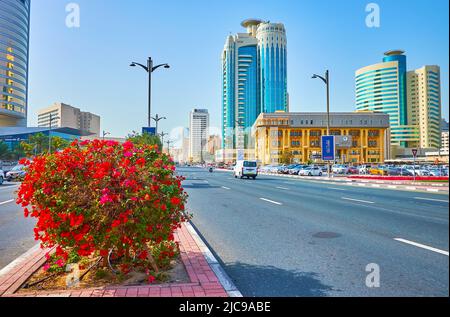 DUBAI, VAE - 1. MÄRZ 2020: Der farbenfrohe Bougainvillea-Busch, der an der Baniyas Road im Deira-Viertel wächst, mit Blick auf moderne Gebäude und Dubai C Stockfoto