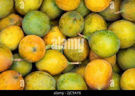 Köstliche frische Passionsfrucht auf dem Bauernmarkt - Passiflora ligularis Stockfoto