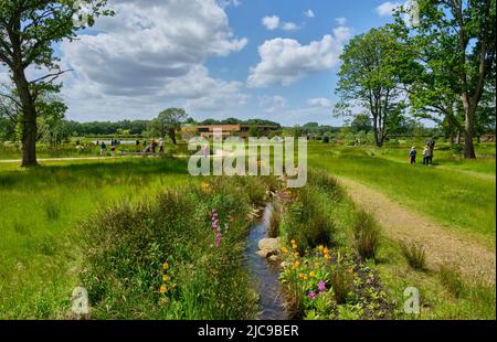 Chinese Streamside Garden in der RHS Bridgewater, Worsley, Manchester Stockfoto