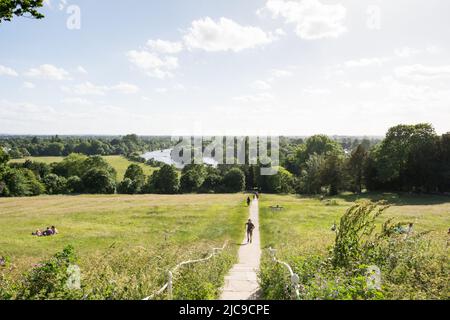 Wiesenland und Weide auf dem Richmond Hill, der nach Petersham und zur Themse führt, Richmond, TW10, England, Großbritannien Stockfoto