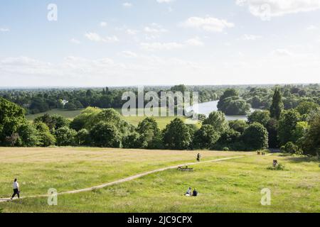 Wiesenland und Weide auf dem Richmond Hill, der nach Petersham und zur Themse führt, Richmond, TW10, England, Großbritannien Stockfoto