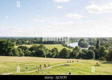 Wiesenland und Weide auf dem Richmond Hill, der nach Petersham und zur Themse führt, Richmond, TW10, England, Großbritannien Stockfoto