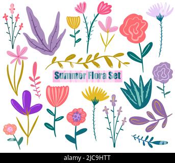 Vector handbemalte Sommer Flora Set. Wilde Blumen. Skizzieren Sie Wildblumen und Kräuter Natur botanische Elemente. Stock Vektor