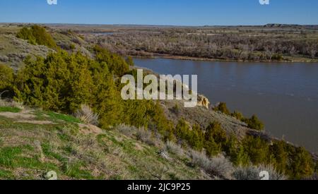 Tal mit einem langsam fließenden Fluss, Glanz der Sonne. Montana Natur Stockfoto