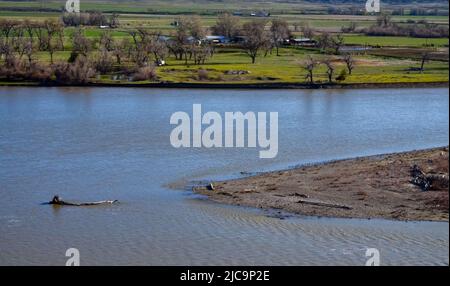 Tal mit einem langsam fließenden Fluss, Glanz der Sonne. Montana Natur Stockfoto
