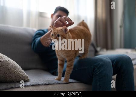 Der junge Mann spielt auf einem Sofa mit einer braunen gestromten Katze Stockfoto