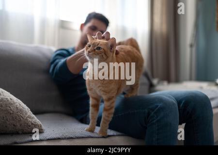 Der junge Mann spielt auf einem Sofa mit einer braunen gestromten Katze Stockfoto