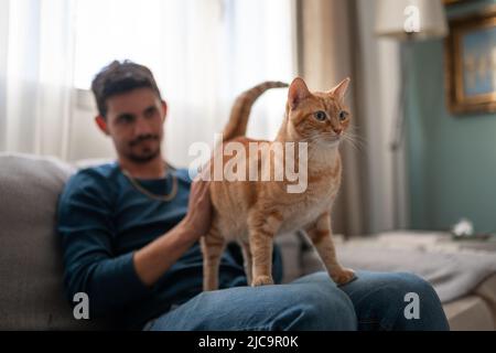 Der junge Mann spielt auf einem Sofa mit einer braunen gestromten Katze Stockfoto
