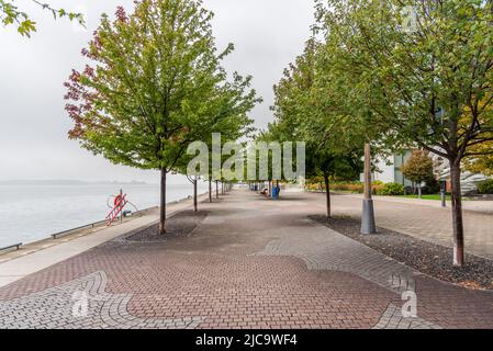 Baumgesäumter Uferweg an einem nebligen Herbsttag Stockfoto