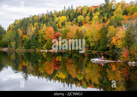 Adirondack-Stühle auf einer schwimmenden Plattform auf einem See, umgeben von dichtem herbstlichen Wald, der sich im Wasser spiegelt. Atemberaubende Herbstfarben. Stockfoto