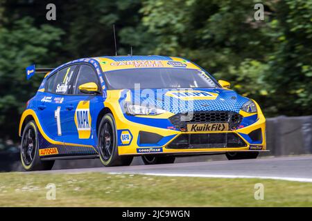 11.. Juni 2022; Oulton Park, Little Budworth, Kephire, England; Kwik Fit British Touring Car Championship, Oulton Park: Ashley Sutton in seinem NAPA Racing UK Ford Focus ST während des Trainings Stockfoto