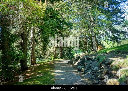 Riley Park Calgary Alberta Stockfoto