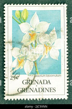 Abgesagte Briefmarke gedruckt von Grenada, die Diacrium bicornutum Orchidee zeigt, um 1994. Stockfoto