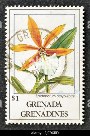 Abgesagte Briefmarke gedruckt von Grenada, die Epidendrum Polybulbon Orchidee zeigt, um 1994. Stockfoto