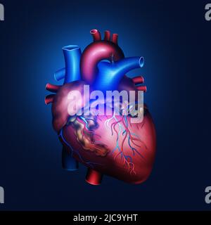 Abbildung des menschlichen Herzens Modell 3D. Venen und Arterien. Dunkler Hintergrund. Medizin, Biologie, Kardiologie, Transplantologie Stockfoto